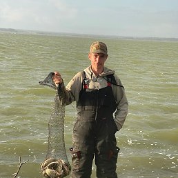 �����, ������, 39 ���