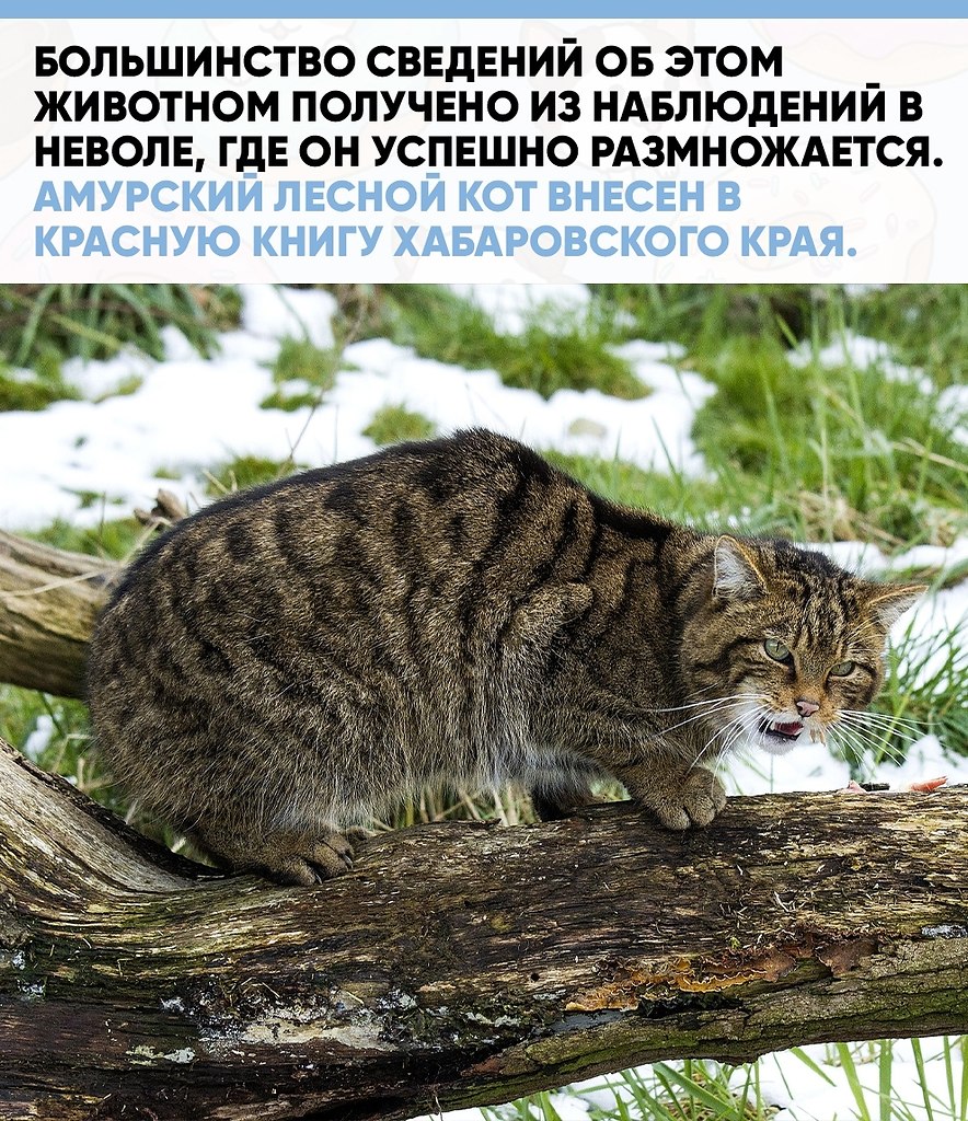 ���� ��� �����, ��������� � ��������� � ��������, �������� ����� �� ����� ����������. ��-�� ����� ... - 3