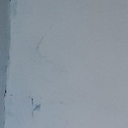 �������, 37 ���, ����