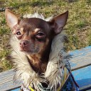 ����. �� ������� ������ ��������