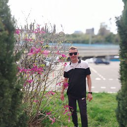 , , 43 