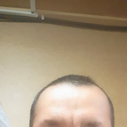 ������, 40 ���, ������