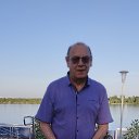 ���� �����, �����, 64 ���� - ��������� 5 ������� 2024 � ������ ���� ����������