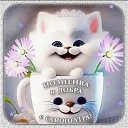 ���� ��������, ��������, 52 ���� - ��������� 10 ������� 2026 � ������ ���� ����������