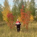 ���� ������, ���������� ����� - ��������� 25 ����� 2026 � ������ ���� ����������