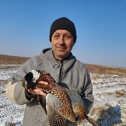 ����, 49 ���, ���������