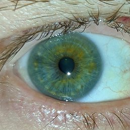 Andrew, �����������, 55 ���