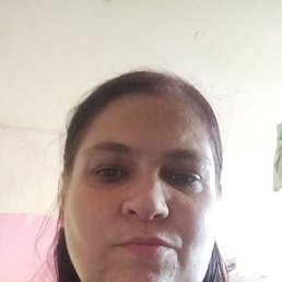 �����, 44 ����, �����