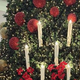 ����, �����������, 51 ���