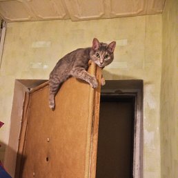 ���� �������-���������. �� ��� ��� �� ���� ��������� ��� ��� �� ����� �� ������� ��� ������ ���� ������ .) �� ��� ���������� ��� ����������� �� ������ � ���� ����� ������ � ��� ������, ����� ������� � ��� ) � ������ ��� ��� ���� ���-�� ����� � ����������� �������������)))