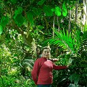 ���� �������, ���������, 57 ��� - ��������� 7 ������ 2026