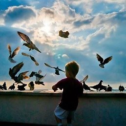 �������, ���������, 37 ���