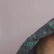 �������, 41 ���, ������