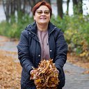  ,  , 54  -  24  2023    