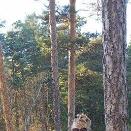 ���� �����, ������������, 54 ���� - ��������� 15 ������ 2026