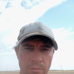 , 39, 