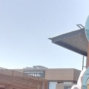 �����, 54 ����, ������