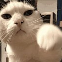���� ������, �����, 46 ��� - ��������� 21 ������� 2025 � ������ ���� ����������