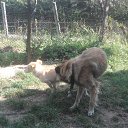 ���� Vasilii, ��������, 69 ��� - ��������� 30 ����� 2025 � ������ ���� ����������