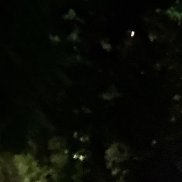 , 18 , 