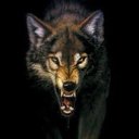 ���� �������, ������, 20 ��� - ��������� 26 ������� 2025 � ������ ���� ����������