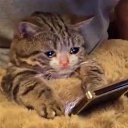 ���� �����, ������, 30 ��� - ��������� 18 ������� 2025 � ������ ���� ����������