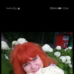 �������, ������, 58 ���