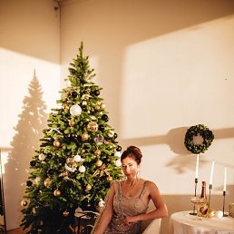 ���� �������, �����-���������, 41 ��� - ��������� 5 ������ 2024