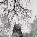 ���� �����, ������, 51 ��� - ��������� 12 ������ 2024 � ������ ��������. ������� 23.�