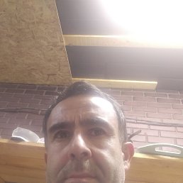, 42, 