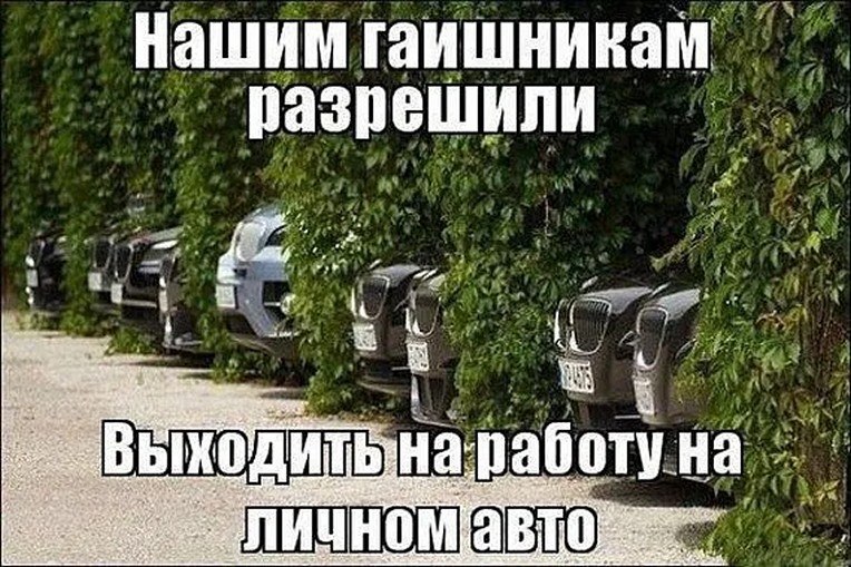 �� ����� - ������������� ������ �1 - 25 ������ 2025 � 13:05