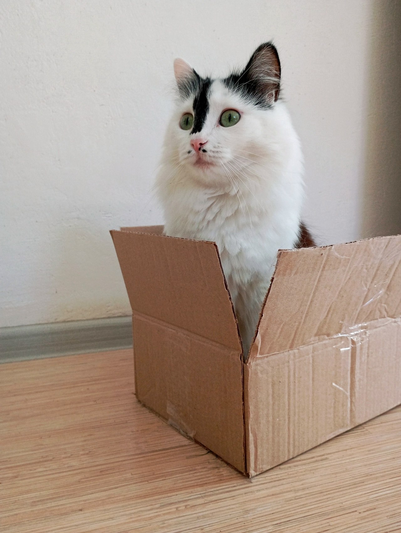 Отличная коробка!