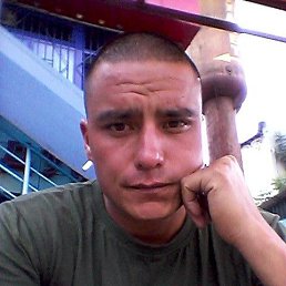 , 37, 