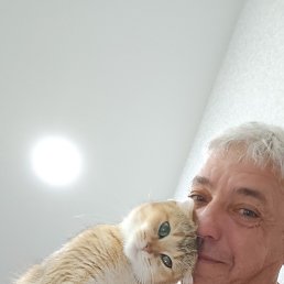 , 56, 