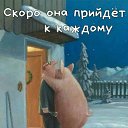 ���� ������, �������, 48 ��� - ��������� 14 ����� 2025 � ������ ���� ����������