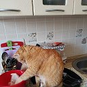 ���� ��������, ���������, 60 ��� - ��������� 7 ������ 2026 � ������ ������ ��������