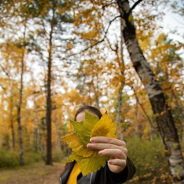 ������, ����, 27 ���