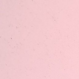 ����, ������, 45 ���