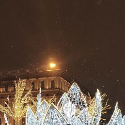 �������, ������, 40 ���