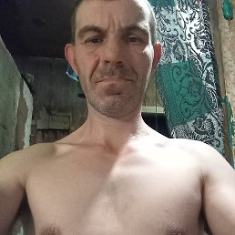 ��������, 41 ���, ������