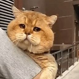 -, 
