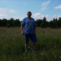 , 53 ,  