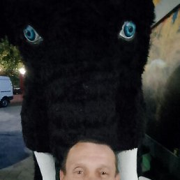 , 43, 