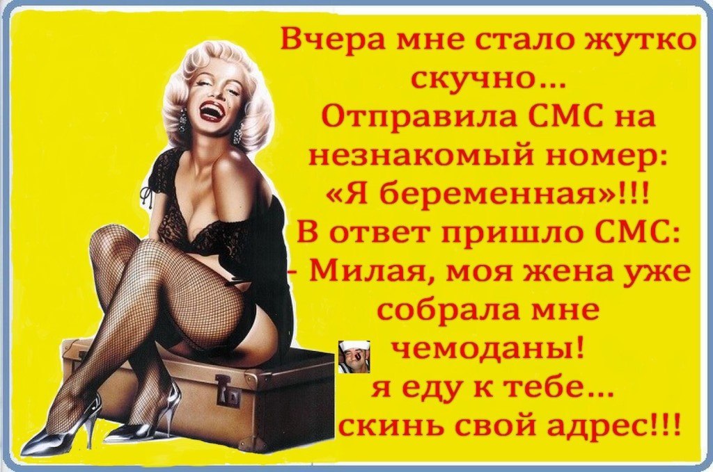 ������ �������� - 17 ������� 2026 � 01:02 - 5