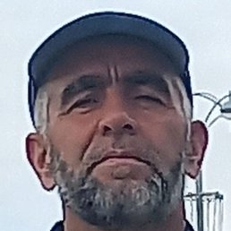 �����, ���, 49 ���