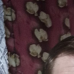 ������, �����-�������, 53 ����