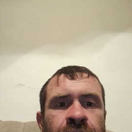 , 38, 