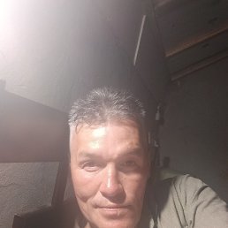   , , 50  -  29  2025