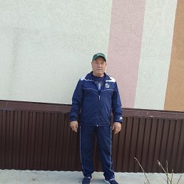 , 62, 