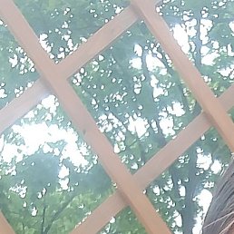 �������, ��������, 37 ���